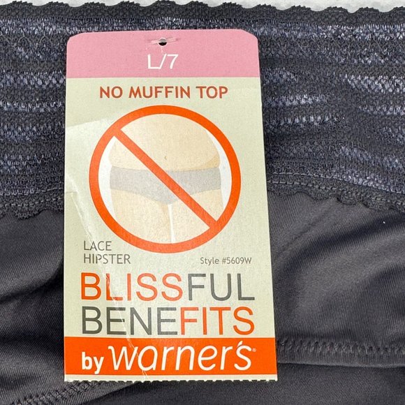 Blissful Benefits By Warner's Women's Size 7 Large Panty Lace Hipster Gray New - Picture 4 of 8